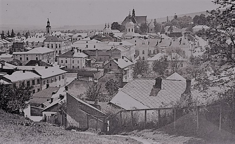 Karta pocztowa z lat 20. XX wieku. Jest to panorama miasta Brzeżany. 


