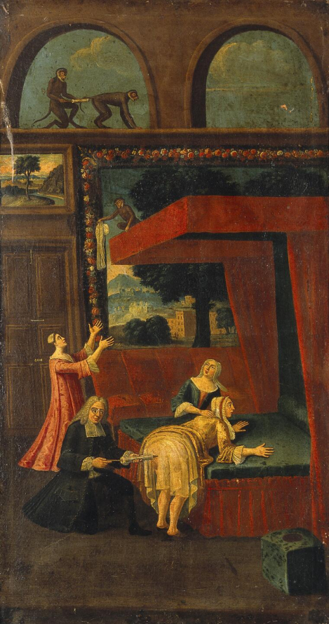 Obraz olejny przedstawia wnętrze, w którym znajduje się czerwone łoże z wysokim baldachimem. Na łożu leży kobieta odwrócona tyłem. Obok niej klęczy mężczyzna w ciemnym płaszczu, peruce na głowie, który wkłada jej pod spódnicę dużą strzykawkę do lewatywy. Kobietę podtrzymuje inna kobieta siedząca na łóżku. Za mężczyzną stoi kobieta w czerwonym płaszczu, która wyciąga ręce do góry. Na baldachimie siedzi małpa która spuszcza tej kobiecie materiał. Powyżej baldachimu znajdują  się okna lub arkady w formie półkolistej. Siedzą tam dwie małpy, które robią sobie lewatywę.