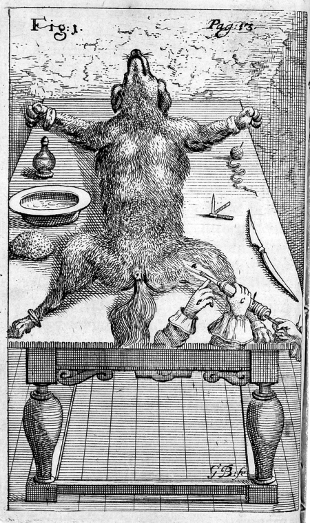 Grafika przedstawia stół na którym leży pies. Jego nogi przytwierdzone są do stołu, na którego blacie znajdują się różne przedmioty. Z przodu widzimy dwie ręce z dużą strzykawką. Grafika przedstawia eksperyment na psie. 