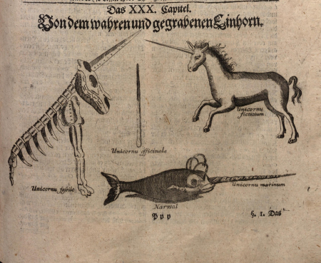 Grafika przedstawia jednorożca, narwala i szkielet nosorożca. 