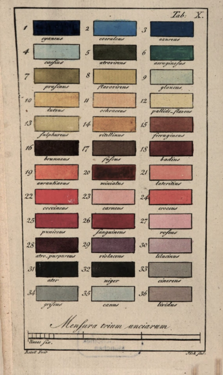 Pożółkła kartka papieru na której namalowane są barwne pola. Jest to tablica kolorystyczna z dzieła Carla Ludwiga Willdenowa. 