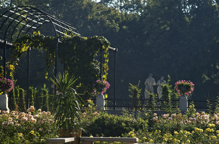 Ogród przypałacowy w porze letniej.