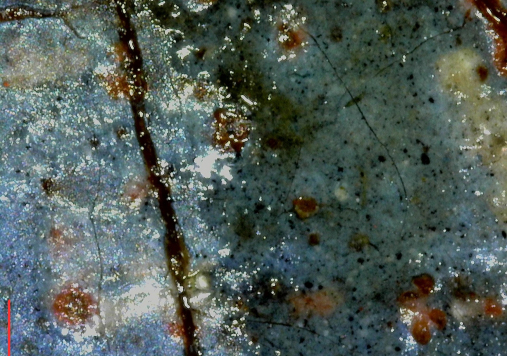 Zdjęcie przedstawia fragment obrazu w bardzo dużym powiększeniu.